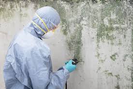 Best Forensic Mold Investigation in Rolling Hills, CA